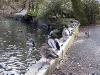 thmb_115-1551_img.jpg