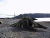 thmb_115-1554_img.jpg
