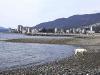 thmb_115-1556_img.jpg