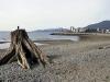 thmb_115-1561_img.jpg