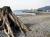 thmb_115-1562_img.jpg