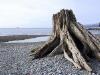 thmb_115-1563_img.jpg