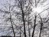 thmb_115-1565_img.jpg