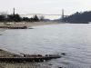 thmb_115-1568_img.jpg