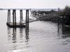 thmb_115-1569_img.jpg