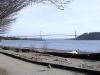 thmb_115-1577_img.jpg