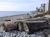 thmb_115-1578_img.jpg