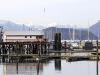 thmb_115-1586_img.jpg