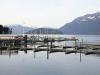 thmb_115-1588_img.jpg