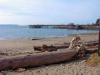 thmb_Ambleside 005.jpg