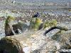 thmb_Ambleside 022.jpg