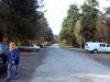 thmb_Ambleside 031.jpg