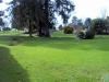 thmb_Ambleside 032.jpg