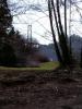 thmb_Ambleside 033.jpg