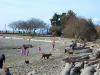 thmb_Ambleside 037.jpg