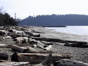 thmb_115-1546_img.jpg