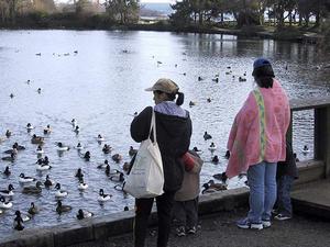thmb_115-1550_img.jpg