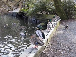 thmb_115-1551_img.jpg