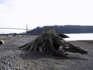 thmb_115-1554_img.jpg