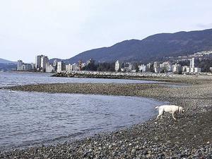 thmb_115-1556_img.jpg