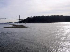 thmb_115-1557_img.jpg