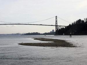thmb_115-1558_img.jpg