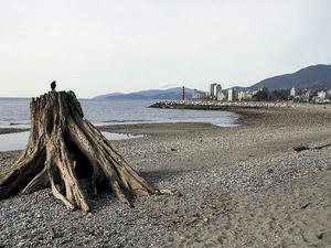 thmb_115-1561_img.jpg