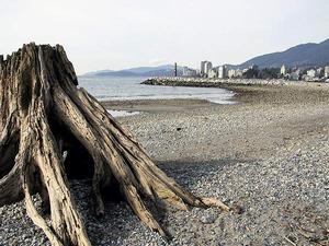 thmb_115-1562_img.jpg