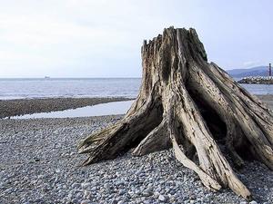 thmb_115-1563_img.jpg