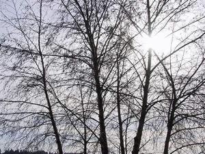 thmb_115-1565_img.jpg