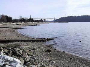 thmb_115-1567_img.jpg