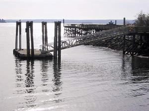 thmb_115-1569_img.jpg