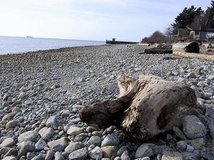 thmb_115-1573_img.jpg