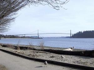 thmb_115-1577_img.jpg