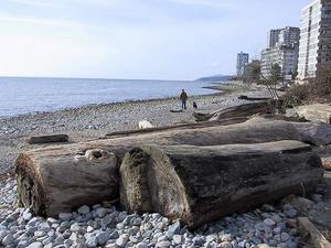 thmb_115-1578_img.jpg