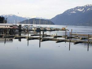 thmb_115-1589_img.jpg