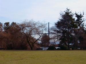 thmb_Ambleside 011.jpg