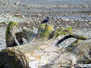 thmb_Ambleside 022.jpg