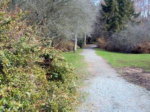 thmb_Ambleside 023.jpg