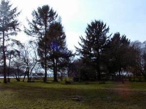 thmb_Ambleside 030.jpg