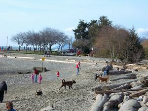 thmb_Ambleside 037.jpg