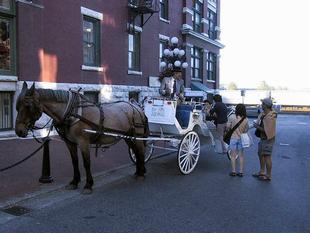 108-0862_img.jpg