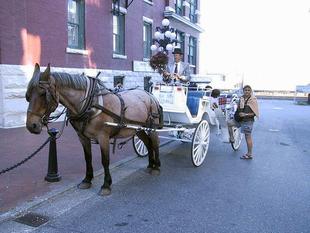 108-0863_img.jpg