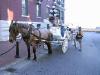 108-0863_img.jpg