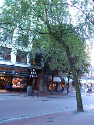 Image088.jpg