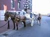 Horse Drawn Carriage