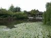 thmb_ChinatownBill 027.jpg