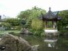 thmb_ChinatownBill 032.jpg