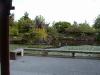 thmb_ChinatownDavid 006.jpg