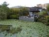 thmb_ChinatownDavid 021.jpg